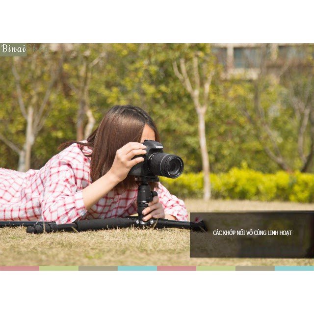 Weifeng WF-6620A - Chân Đế Tripod Máy Ảnh - Hàng chính hãng