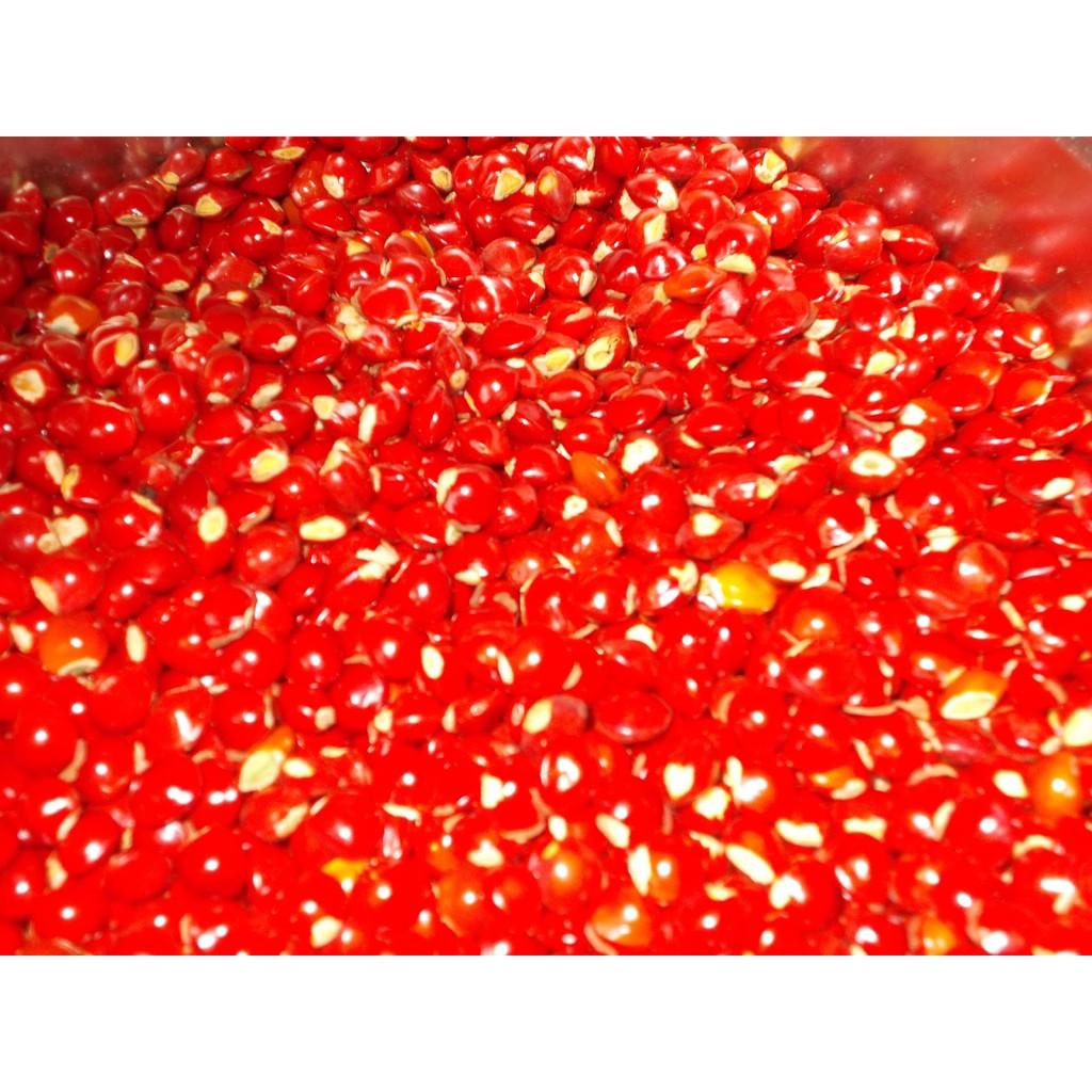 1 KG HẠT GIỐNG CẨM LAI ĐỎ .