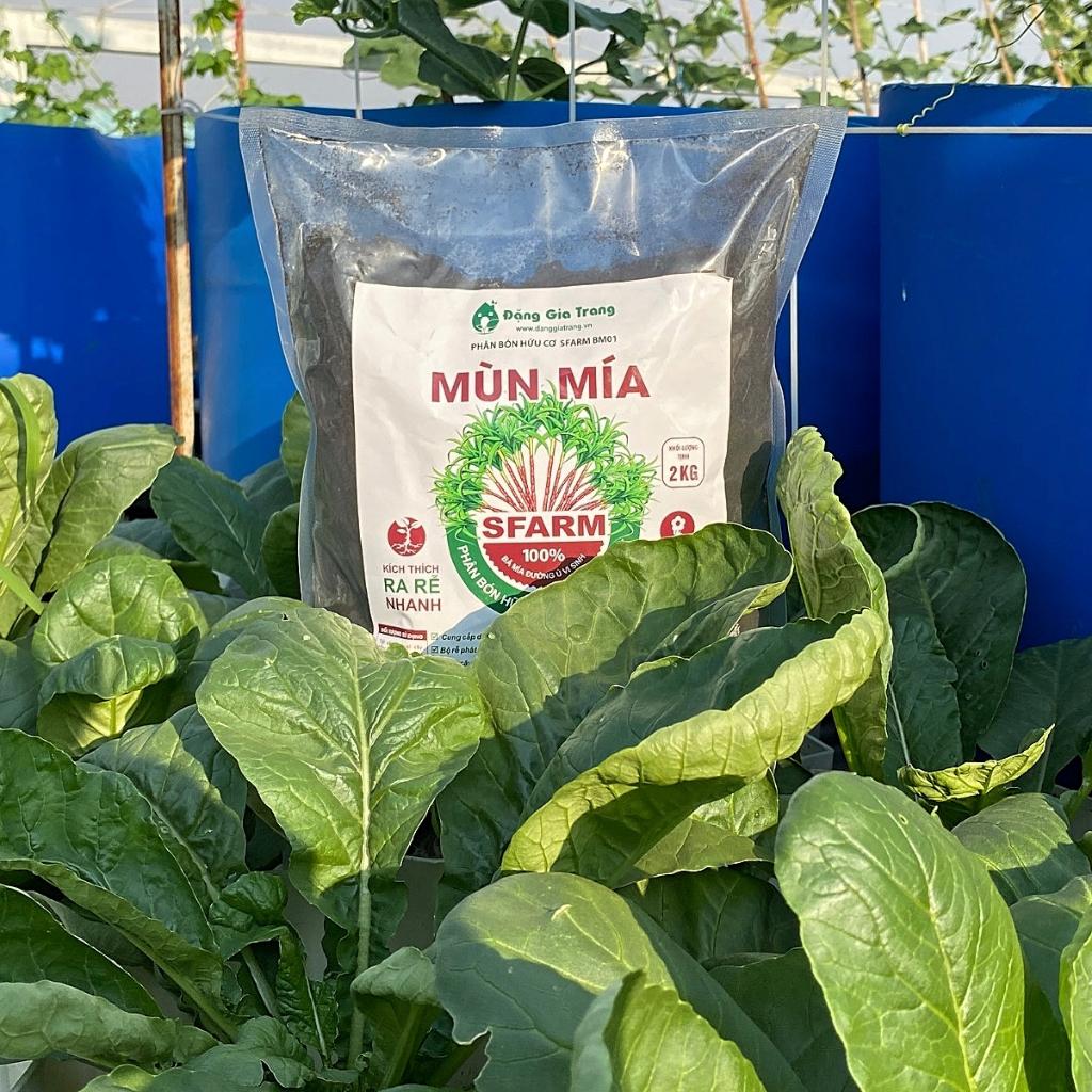 Phân mùn mía SFARM tăng tỉ lệ ra hoa đậu trái kích rễ mầm túi 2kg