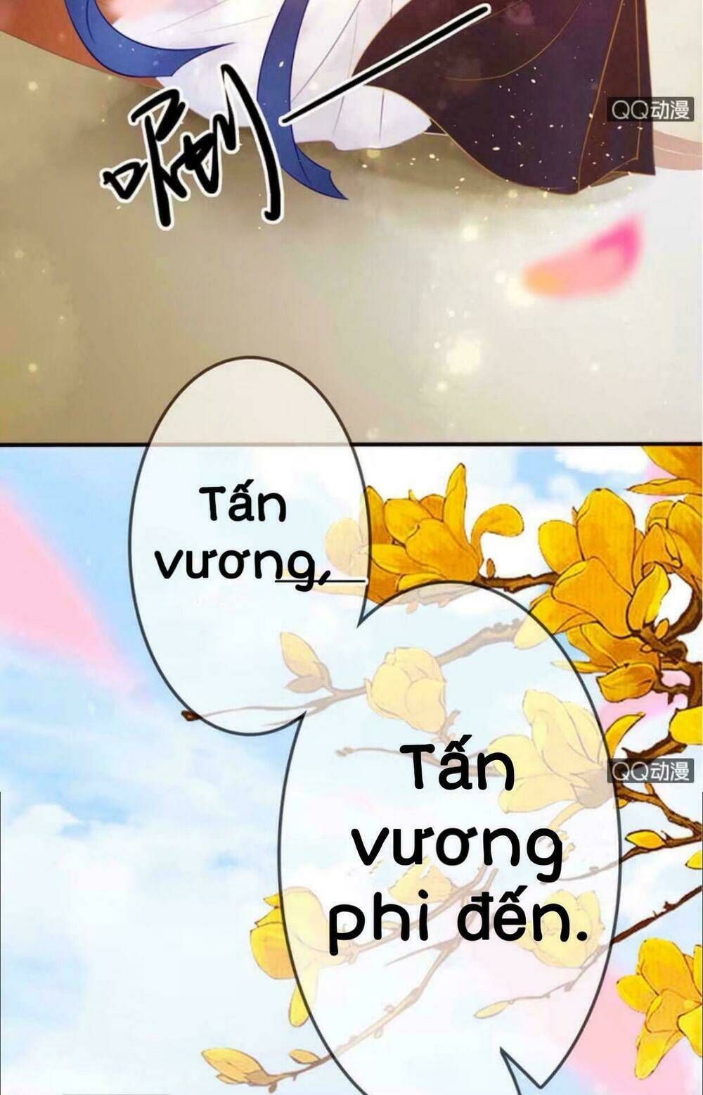 sủng phi của vương chapter 14 16