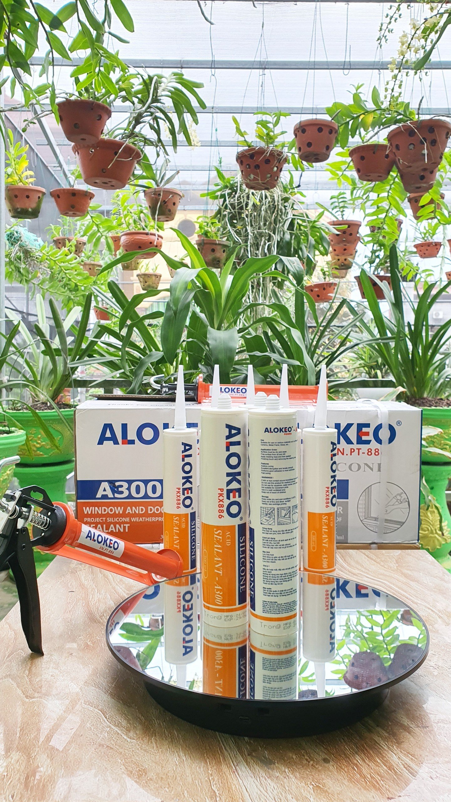 Keo silicone alokeo A300 màu trong Axit