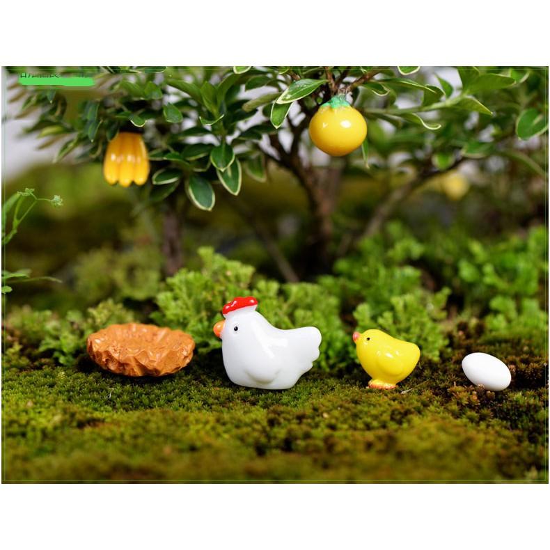 Tiểu cảnh Terrarium ️ Gia đình gà con tiểu cảnh trang trí sen đá, sân vườn, bể cá, bể terrarium