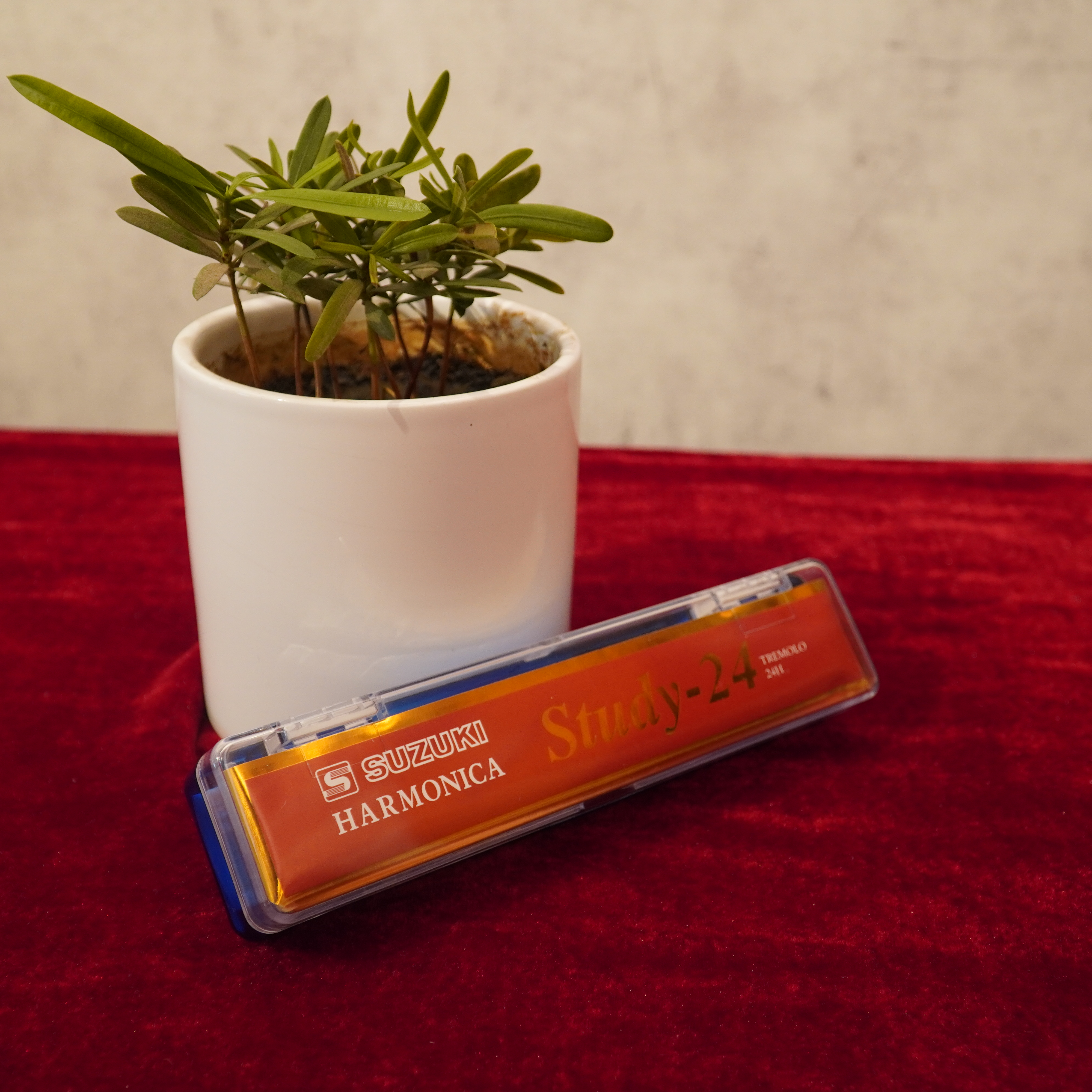 &lt;Tặng Kèm Hộp Đựng, Khăn Nhung Lau&gt; Kèn Harmonica Suzuki Study 24