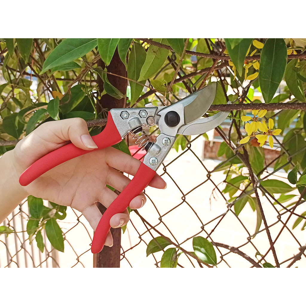 Kéo cắt cành cán bọc nhung đỏ thép hợp kim SK5