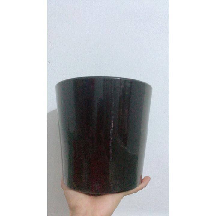 Chậu Sứ Trồng Cây