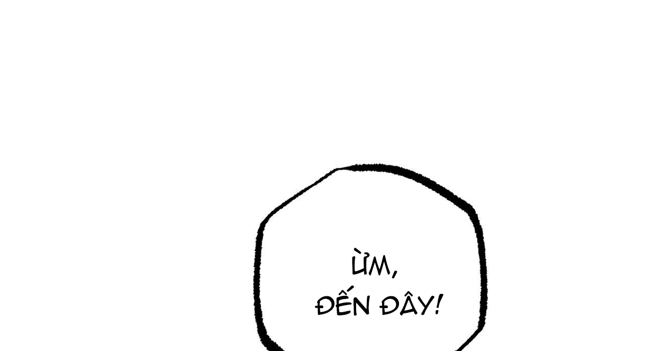 đàn thỏ của habibi chapter 31 207