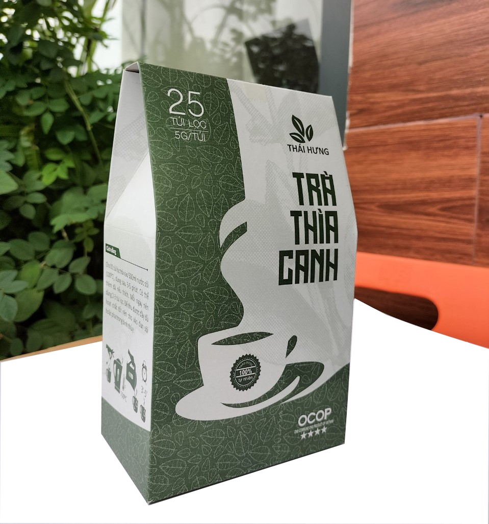 Combo 07 hộp Trà Thìa canh Thái Hưng 25 túi lọc x 5g - Khắc tinh của bệnh tiểu đường