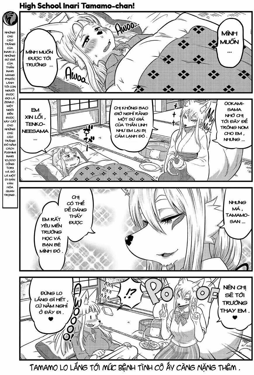high school inari tamamo-chan ! chapter 10 4