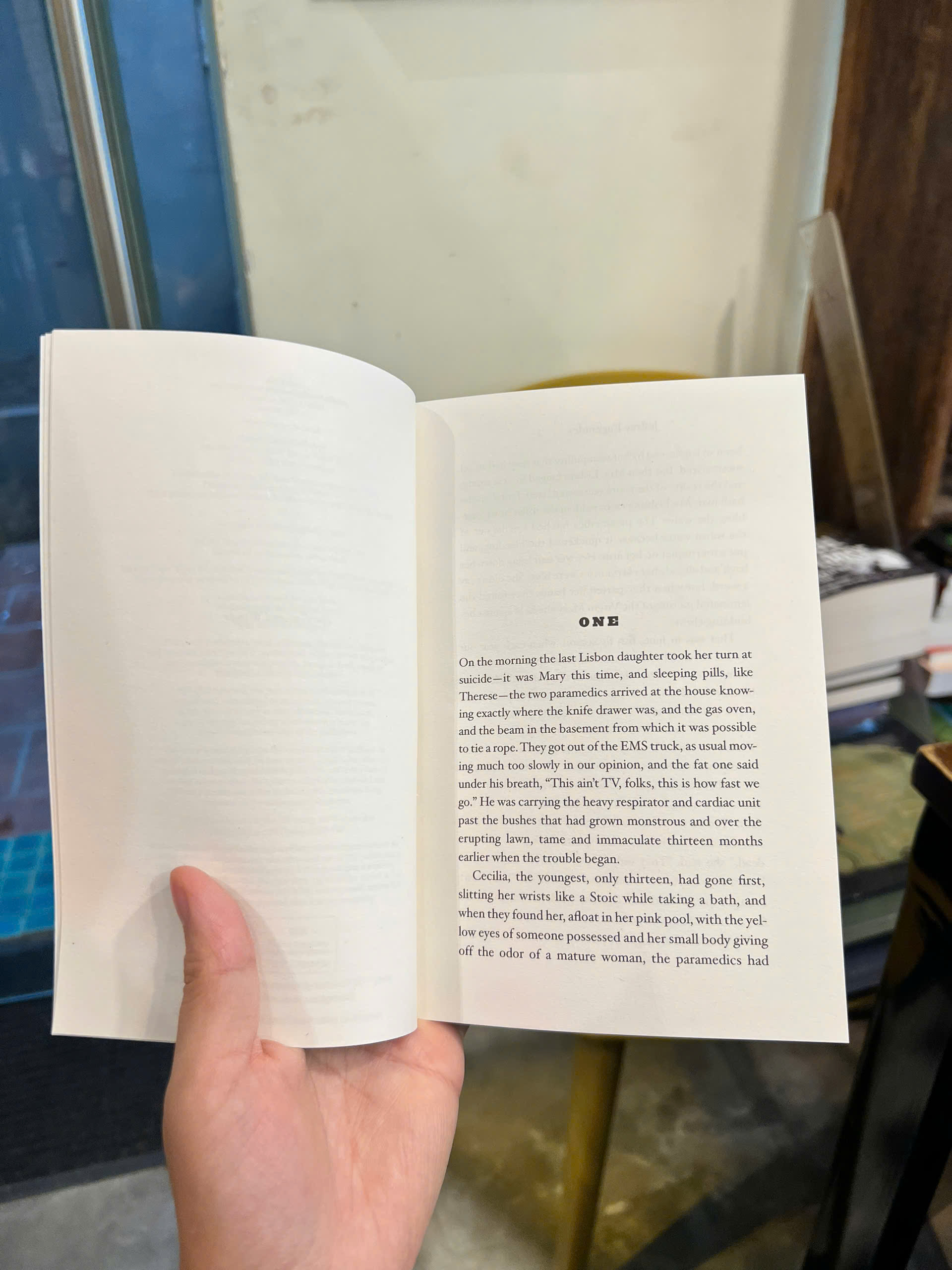 Sách - The Virgin Suicides by Jeffrey Eugenides | Fiction / Pulitzer Prize Winner / Ngoại văn