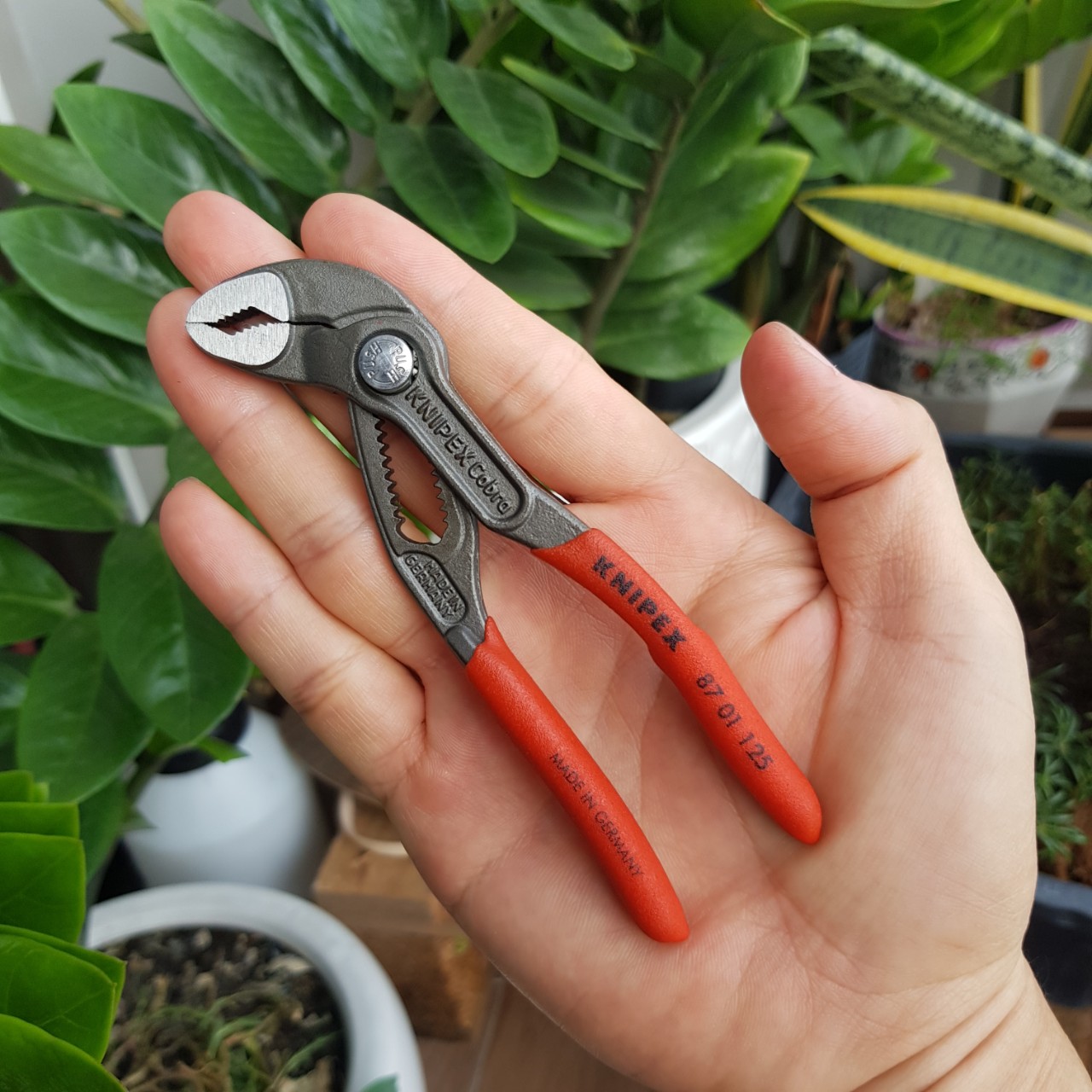 Kìm Nước Cobra Mini KNIPEX - 87 01 125