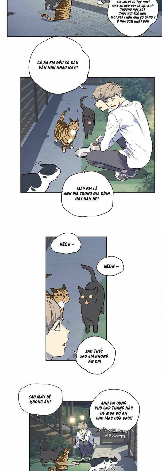 biến thân thành mèo chapter 1 21