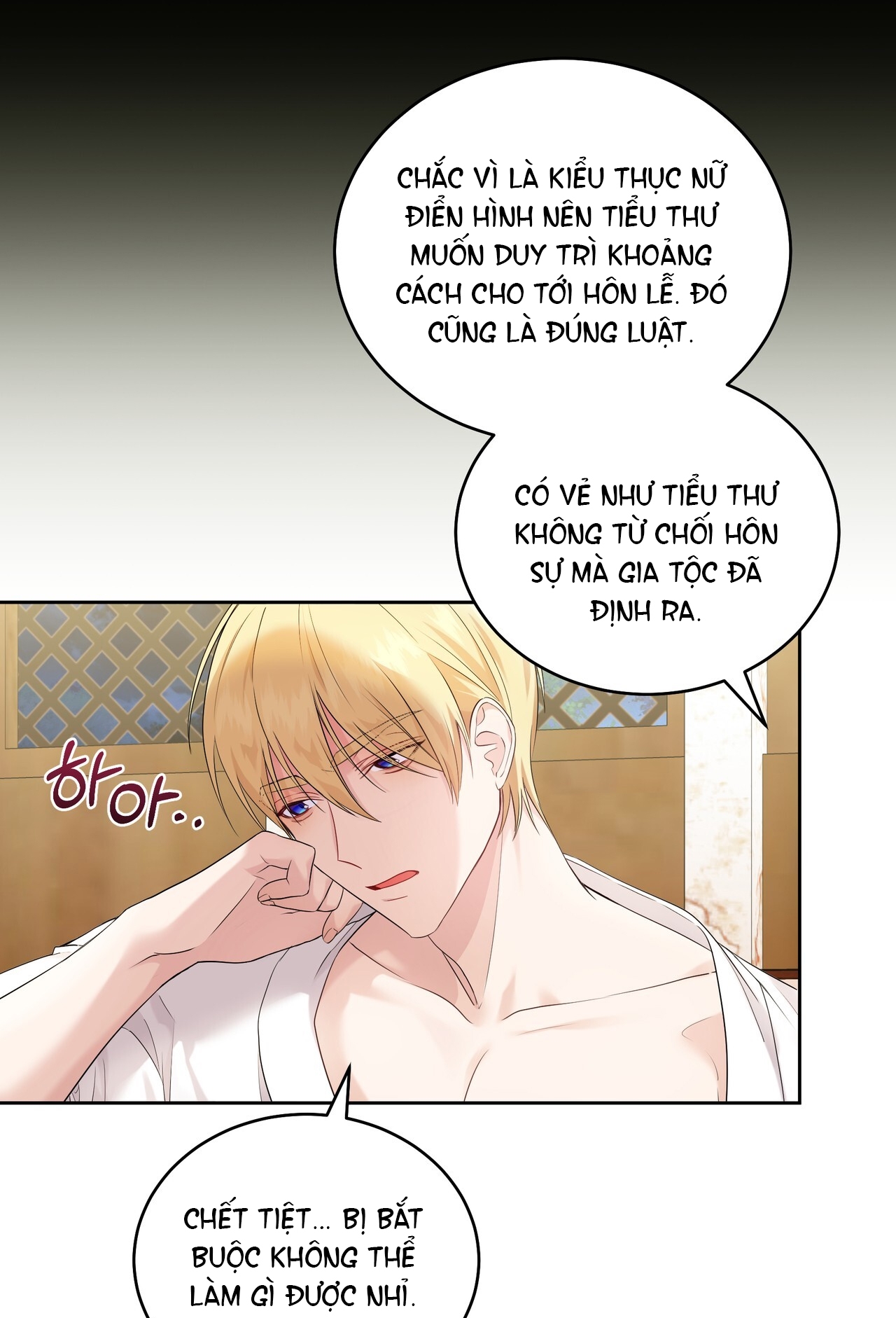 dấu tích của tiên nữ chapter 11.2 28