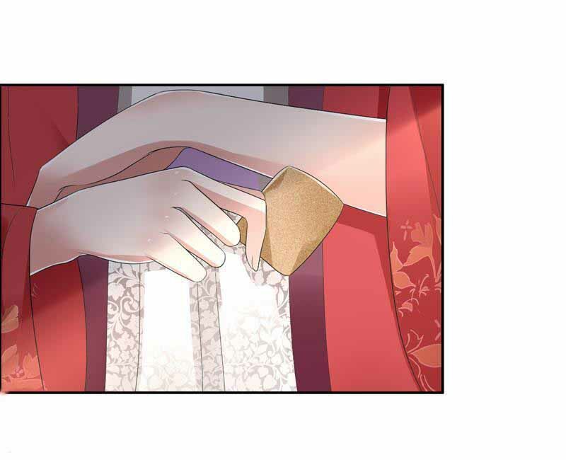 cuồng nữ trọng sinh - hoàn khố thất hoàng phi chapter 30 10