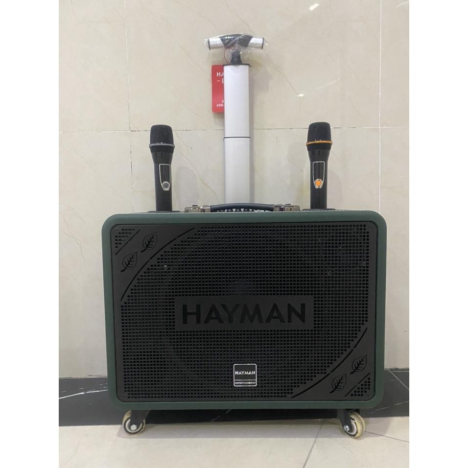 Loa kéo di động Karaoke Hayman X8-12 ( 2 Micro)