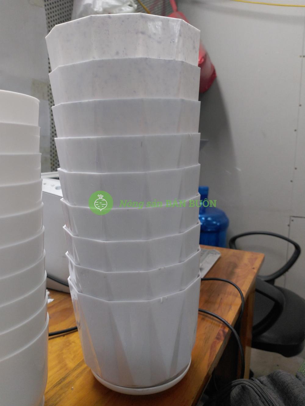10 Chậu nhựa Múi Khế trắng trơn 140x115 có kèm Đĩa Lót, trồng xương rồng, sen đá, cây cảnh mini để bàn