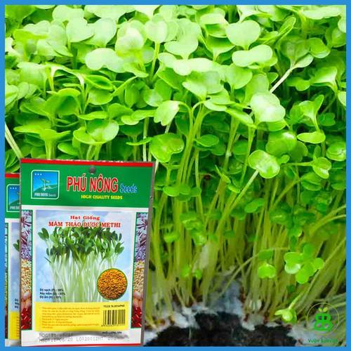 Hạt giống mầm thảo dược Methi Phú Nông - 1 gói 20gram
