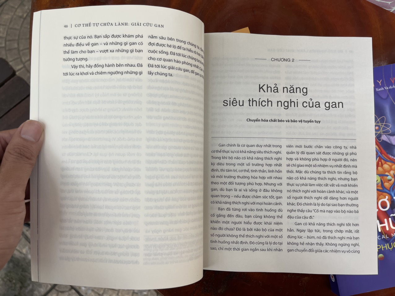 CƠ THỂ TỰ CHỮA LÀNH - THỰC PHẨM THAY ĐỔI CUỘC SỐNG - GIẢI CỨU GAN - NƯỚC ÉP CẦN TÂY - PHỤC HỒI TUYẾN GIÁP - THANH LỌC ĐỂ PHỤC HỒI - THANH LỌC ĐỂ PHỤC HỒI