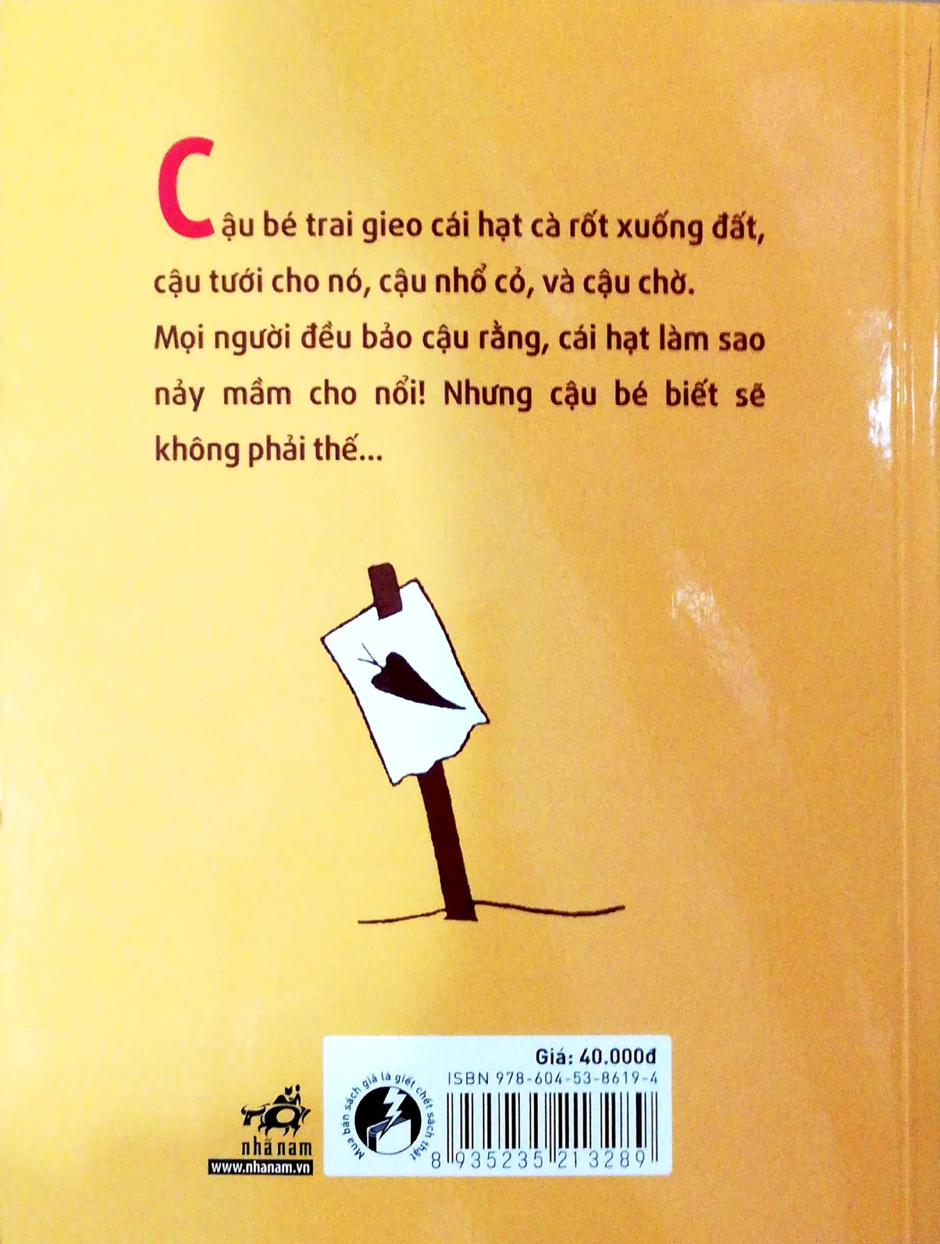 Hạt Giống Cà Rốt