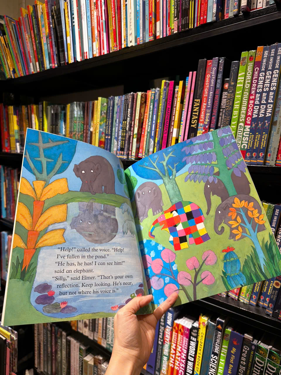 Sách - Elmer and Wilbur by David McKee - Sách ngoại văn, sách thiếu nhi tiếng Anh, bìa mềm, nhập khẩu UK