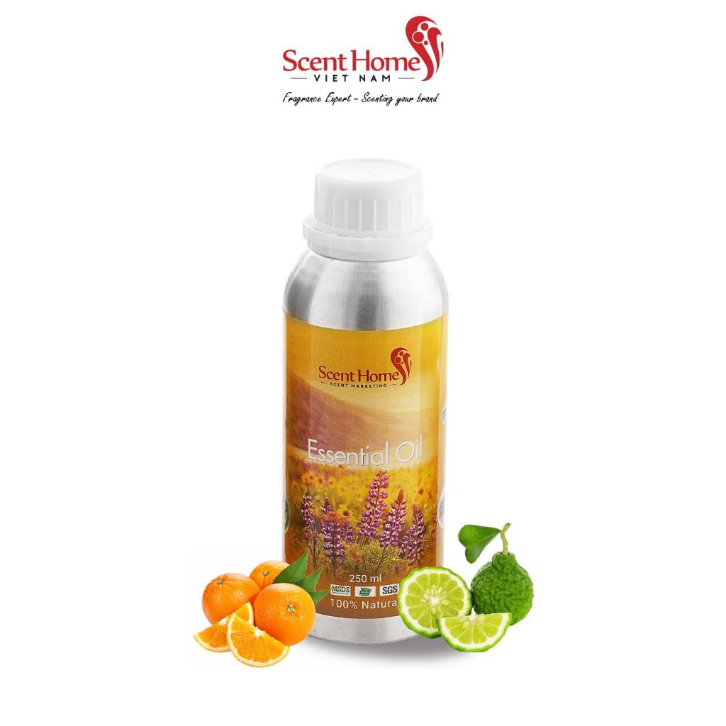 Tinh dầu Scent Homes - mùi hương (Orange Blossom &amp; Bergamot)