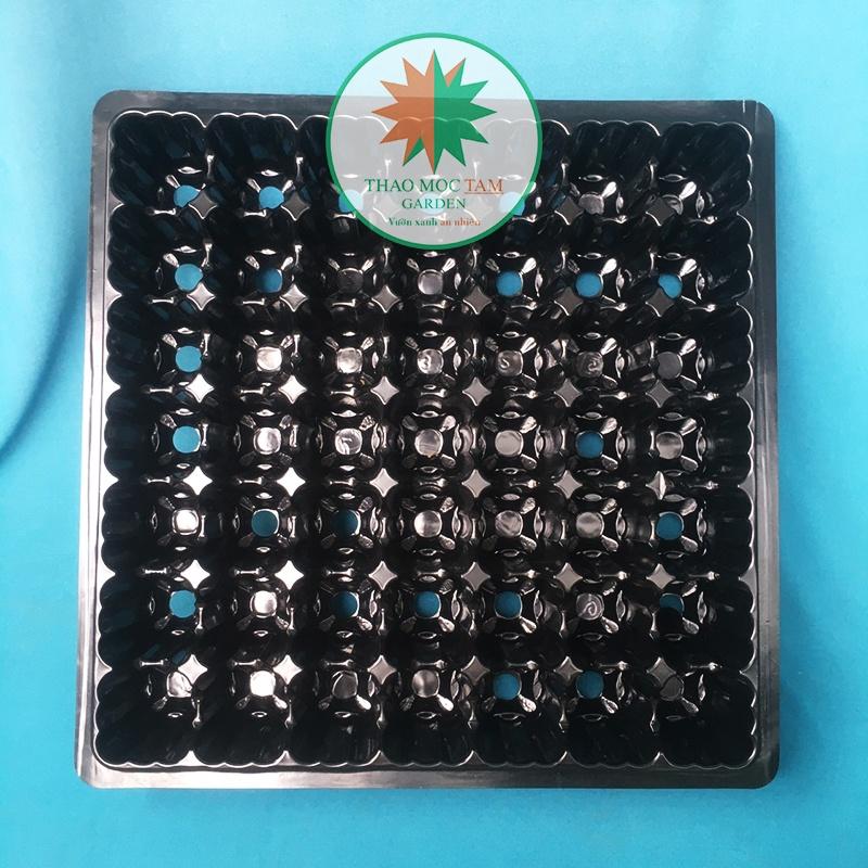 03 KHAY ƯƠM 49 LỖ ĐỰNG ĐƯỢC VIÊN NÉN MỤN DỪA – GIEO HẠT LỚN, GIÂM CÀNH HOA HỒNG, CÂY GIỐNG