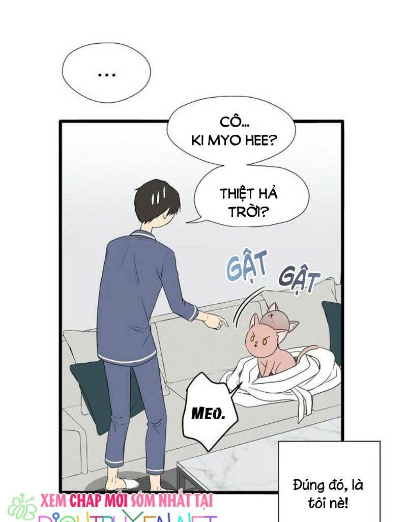 cuộc sống kỳ thú chapter 2 36