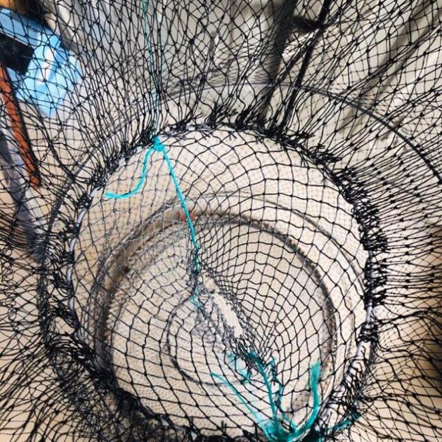 Lồng lò xo đựng cá 3 size đồ câu FISHING_HD