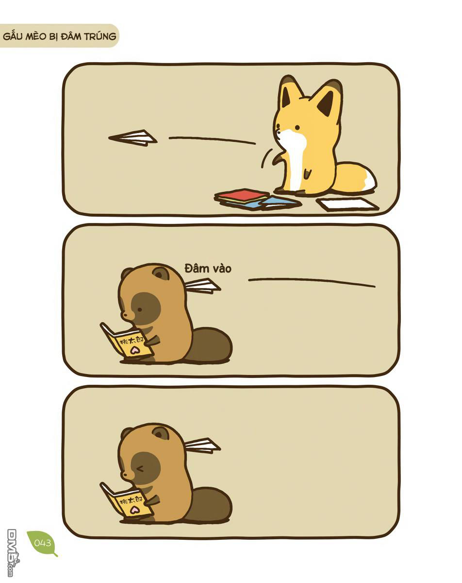 cáo và gấu mèo chapter 11 2