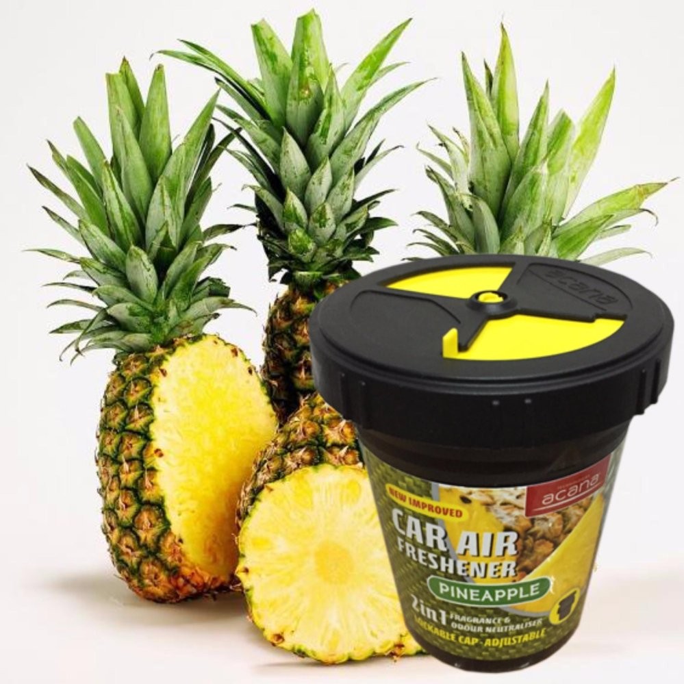 Sáp thơm ôtô Acana Chông say xe Hương Dứa Hương caffe