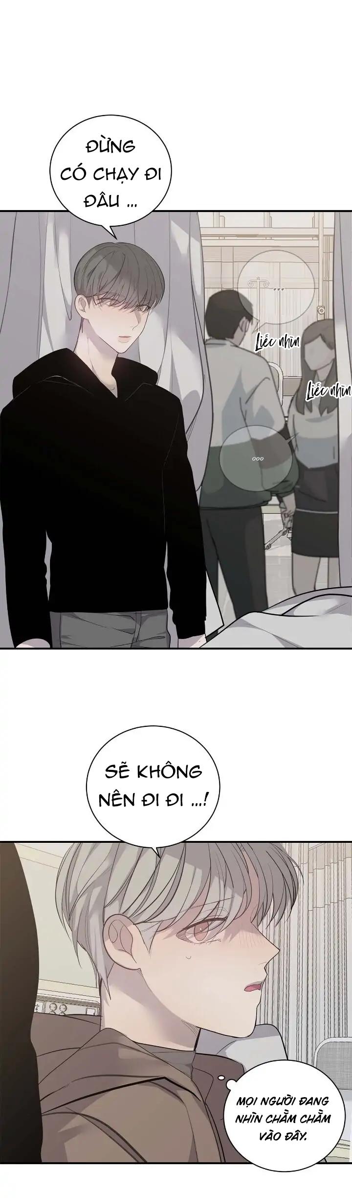 sao notp lại thành thật rồi? chapter 47 10