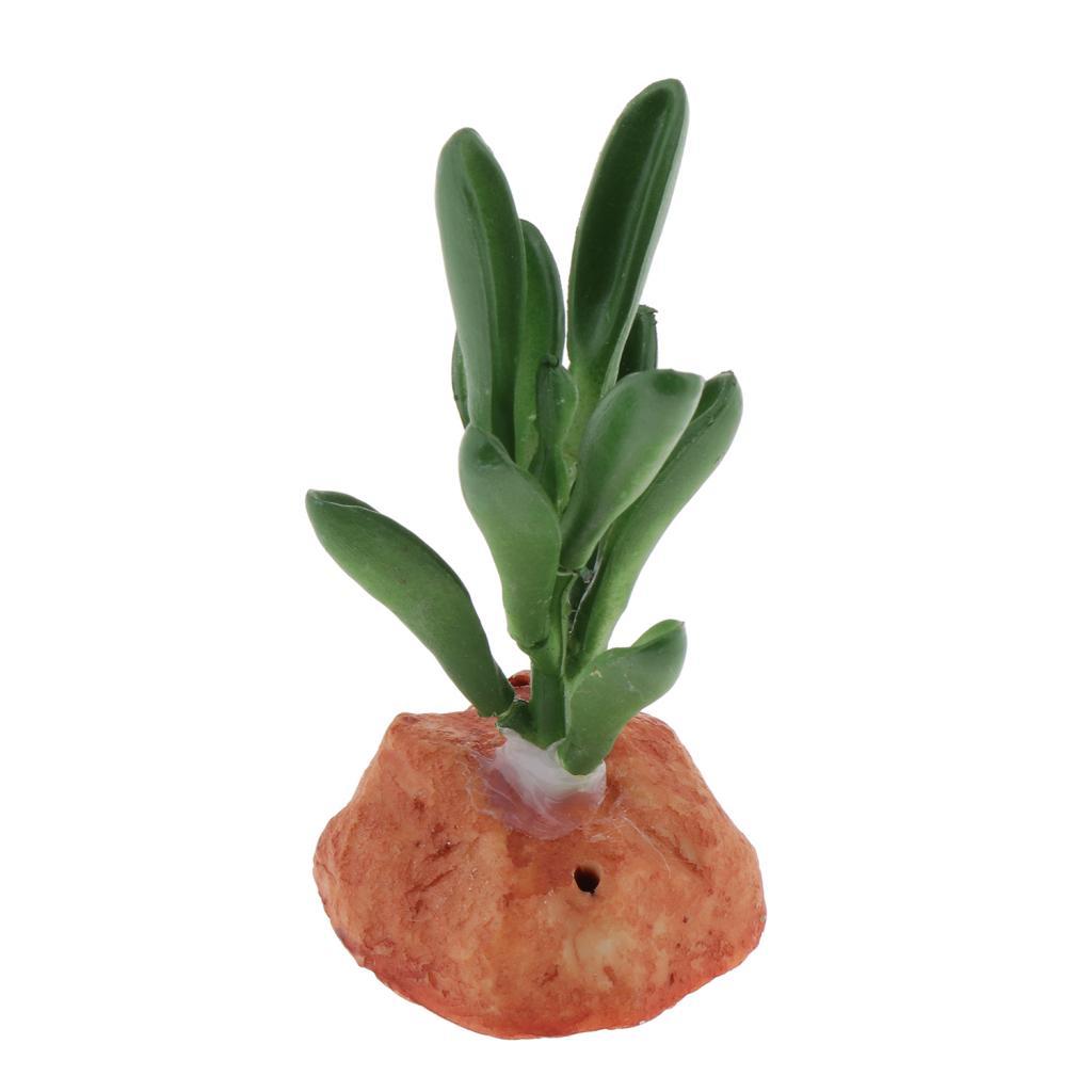 Aquarium Fish Tank Ornaments Plants Succulents Reptile Hideaway Decoration