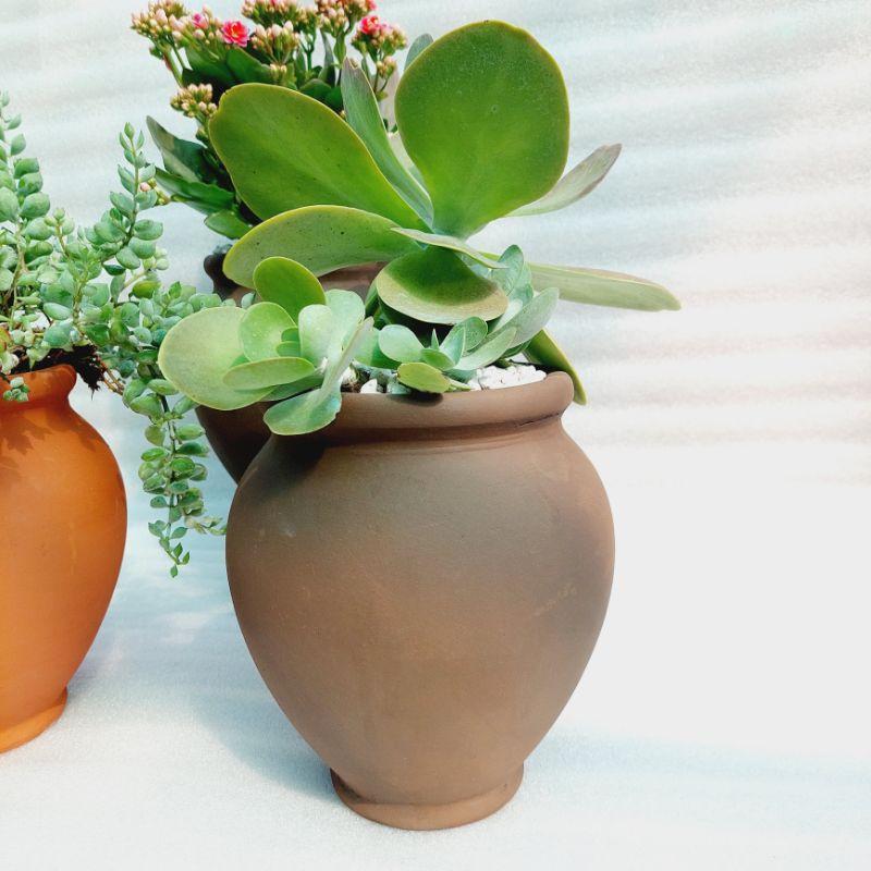 Chậu đất nung Bình Dương - Chum cao, miệng chậu 14cm, chiều cao 20cm