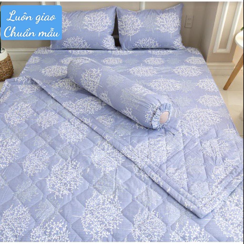 Mền Cotton Thắng Lợi Chần Gòn NHIỀU MÀU