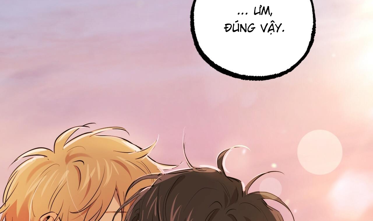 những chú thỏ của hapypy chapter 51 111