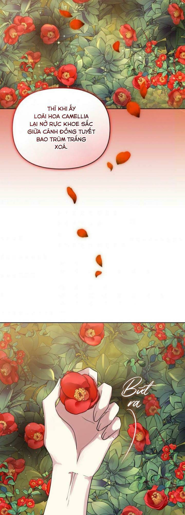 ác nữ phản diện đã chọn nam chính chapter 7 54