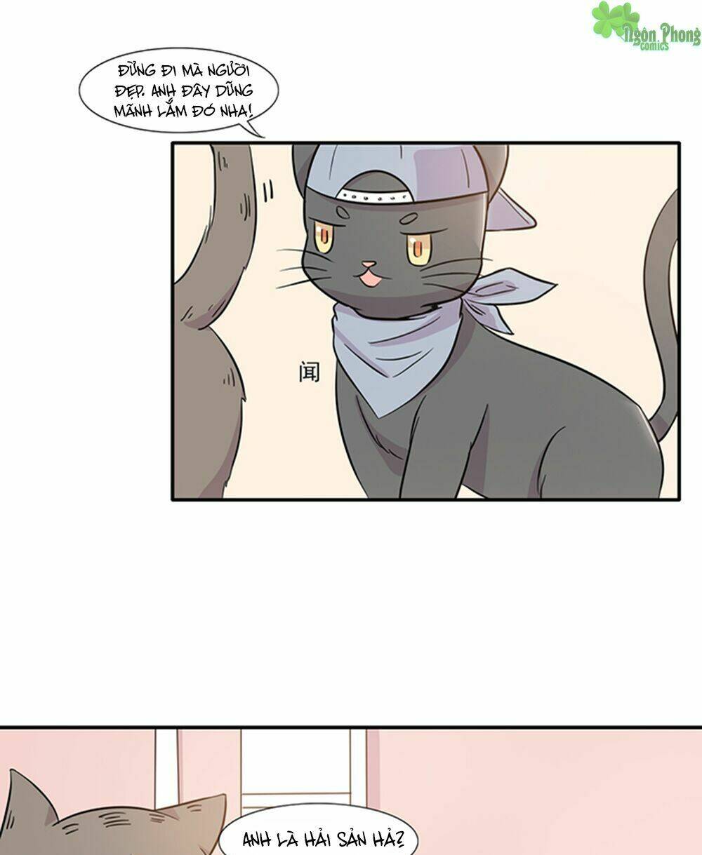 hai chú mèo totem chapter 14 15