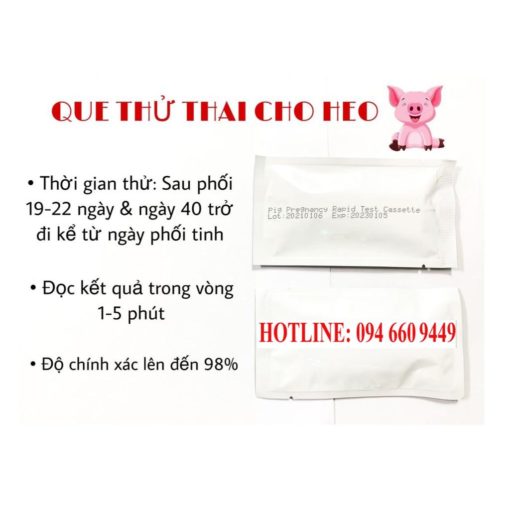 QUE THỬ THAI CHO HEO