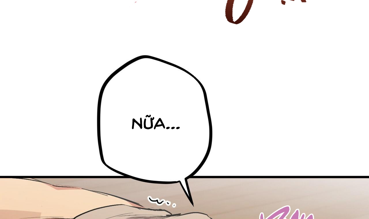 đàn thỏ của habibi chapter 33 62