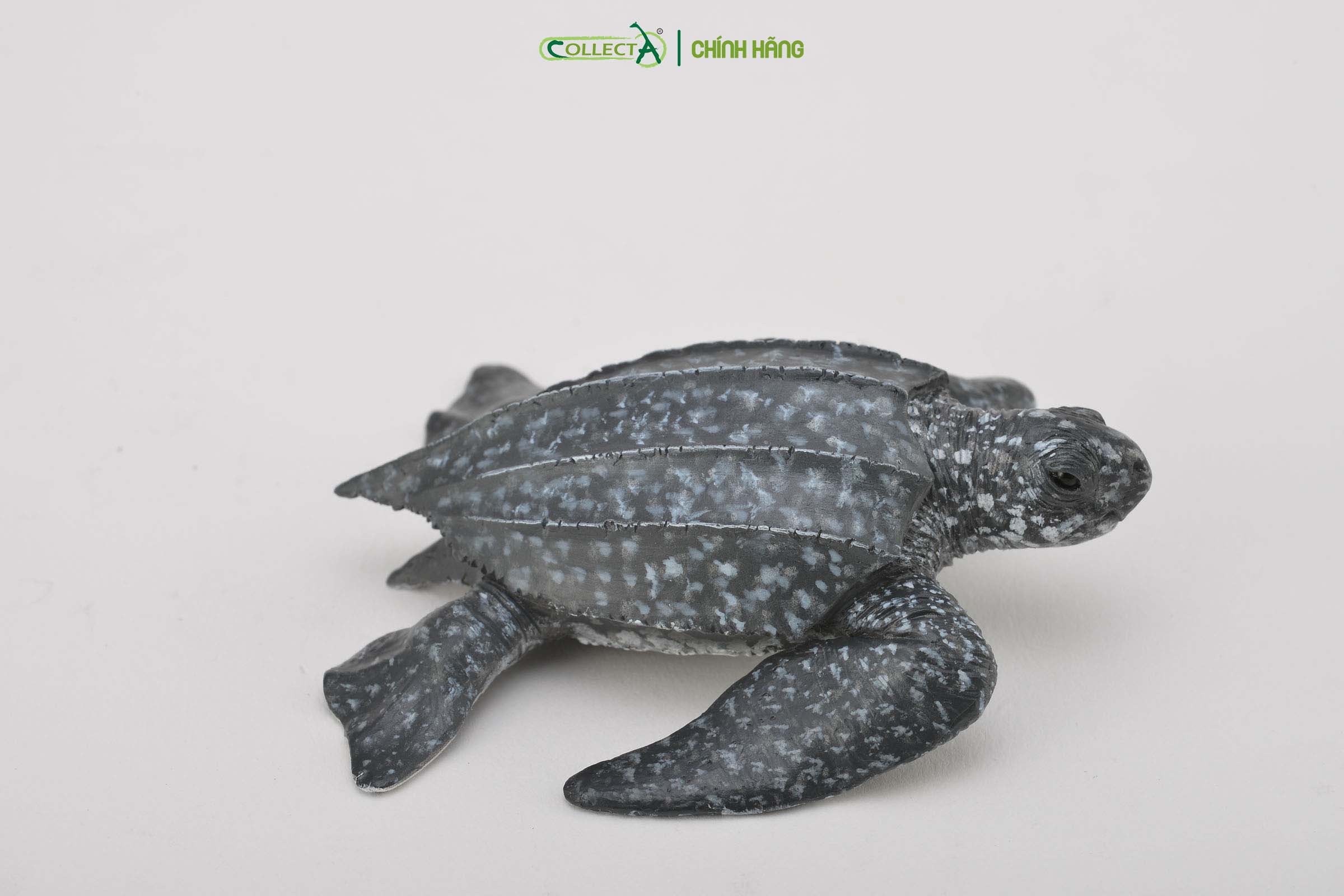 Mô hình thu nhỏ: Rùa Da - Leatherback Sea Turtle, hiệu: CollectA, mã HS 9652030[88680] - Chất liệu an toàn cho trẻ - Hàng chính hãng