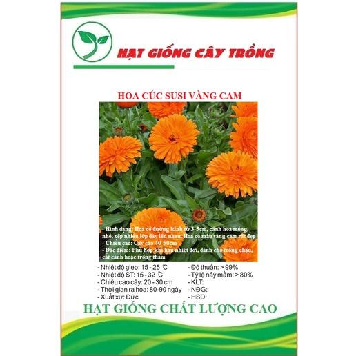 Hạt Giống Hoa Cúc Susi Vàng Cam CT418 - Gói 50 hạt