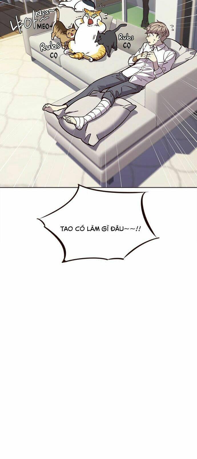 biến thân thành mèo chapter 15 48