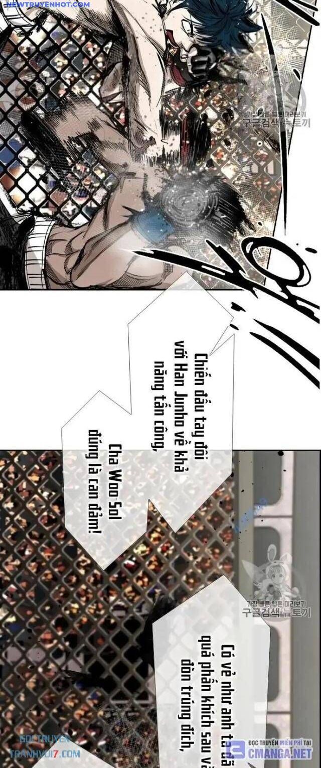 shark - cá mập chapter 161 29