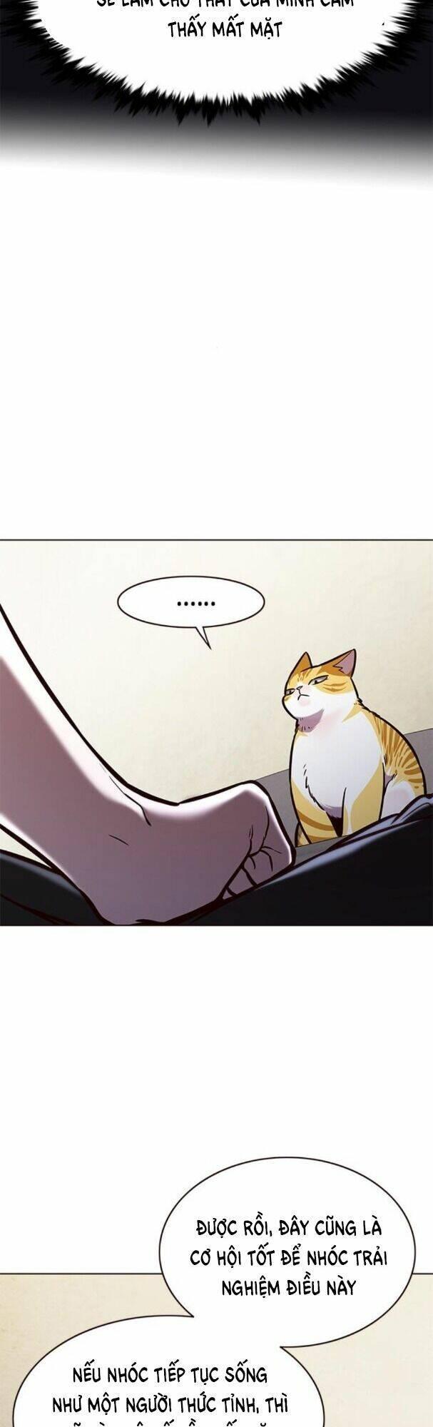 biến thân thành mèo chapter 173 22
