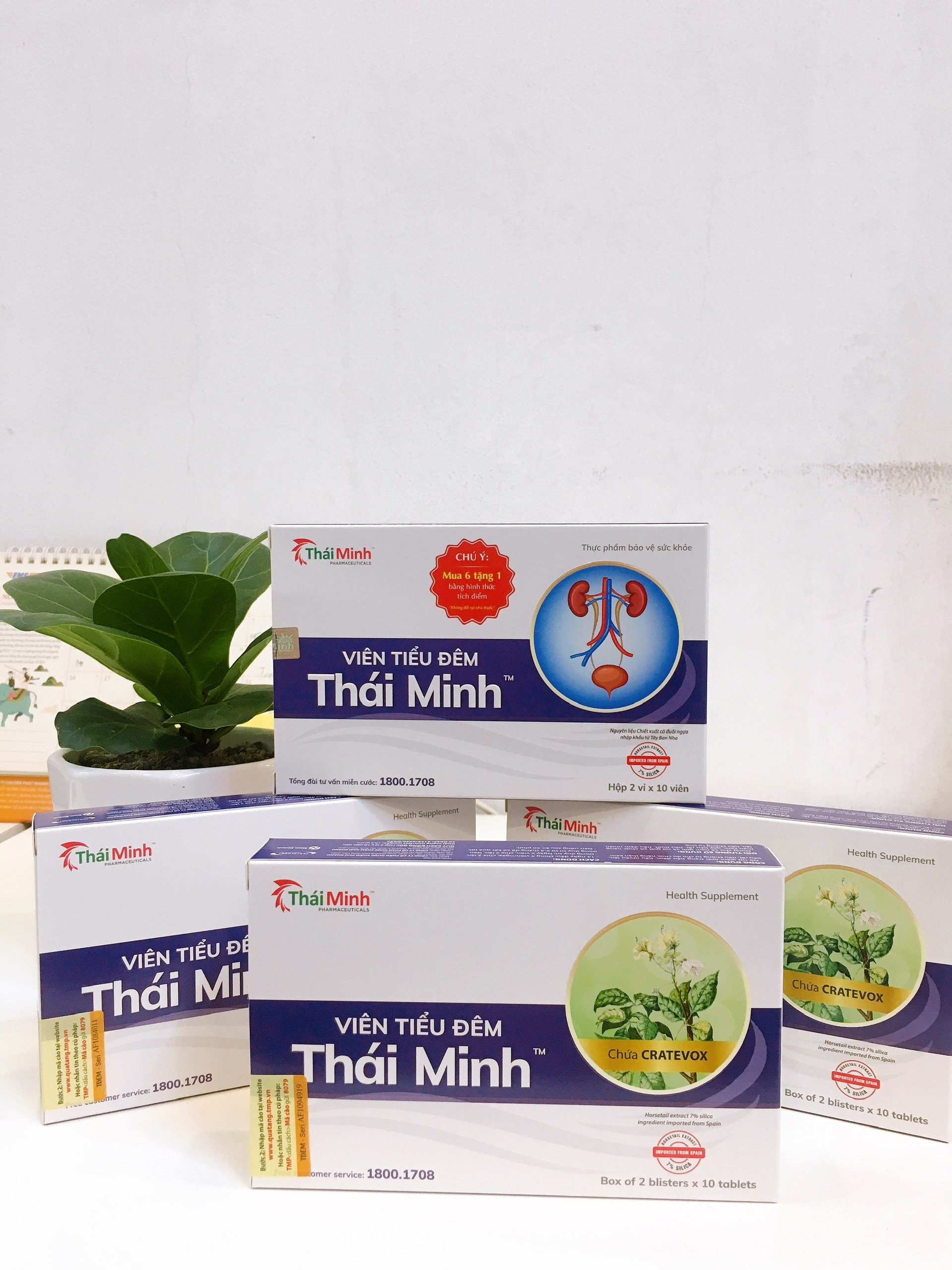 Combo 4 hộp Viên Tiểu Đêm Thái Minh