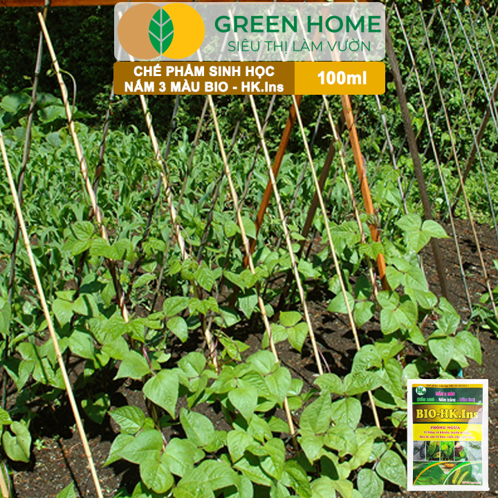 Phân Bón Vi Sinh Nấm 3 Màu GreenHome, Hoàng Kim, Gói 100ml, Trừ Tuyến Trùng, Rệp Sáp, Sâu Vẽ Bùa
