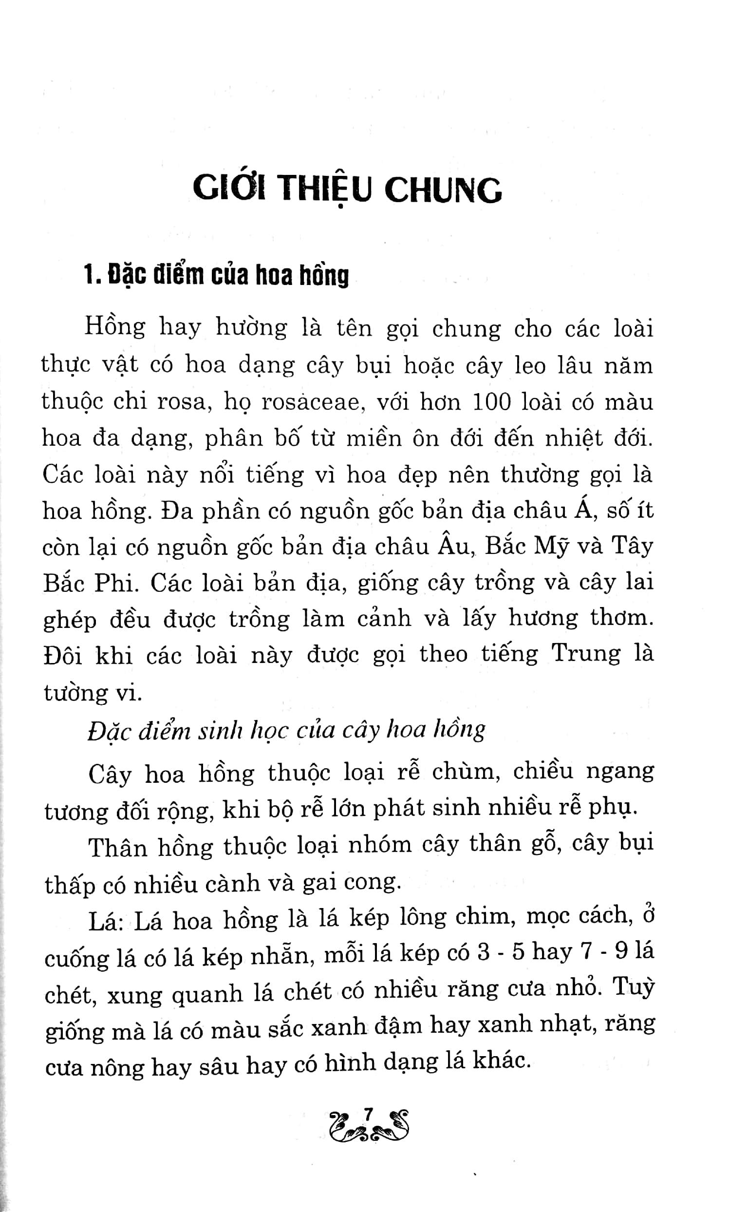 Kỹ Thuật Trồng Và Chăm Sóc Hoa Hồng