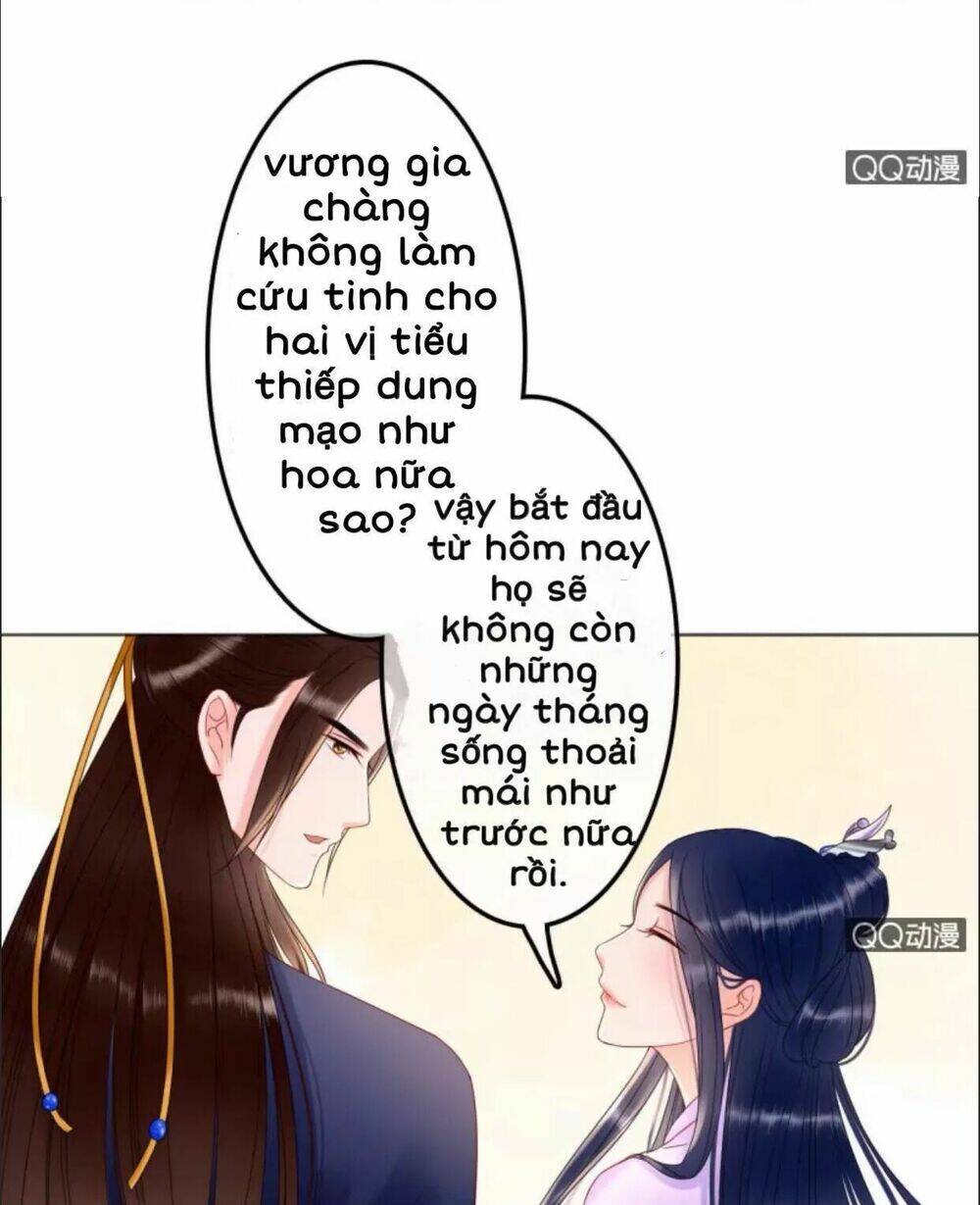 sủng phi của vương chapter 31 11