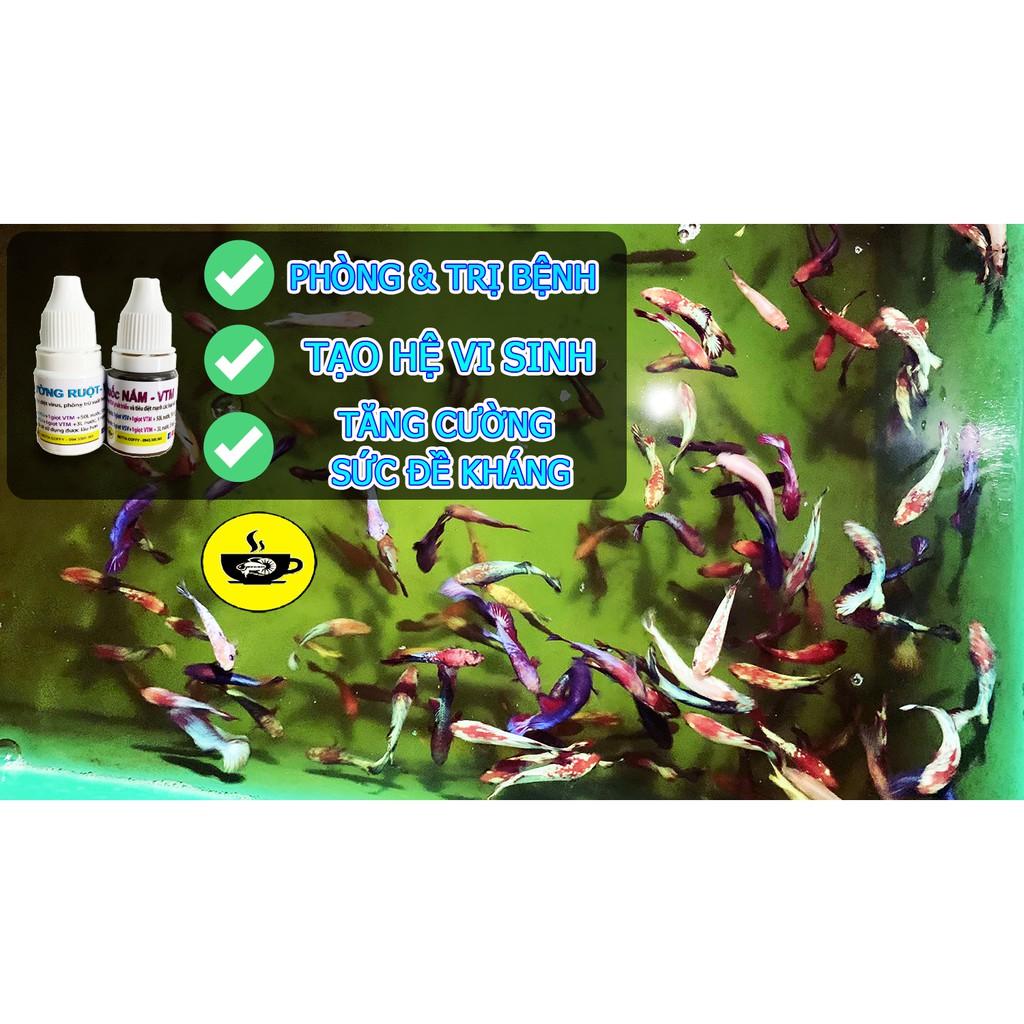Ống trữ Artemia + cho cá ăn trực tiếp XEM PHÂN LOẠI