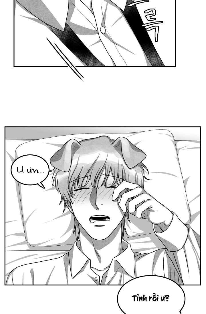 khi cún biết yêu chapter 10 6