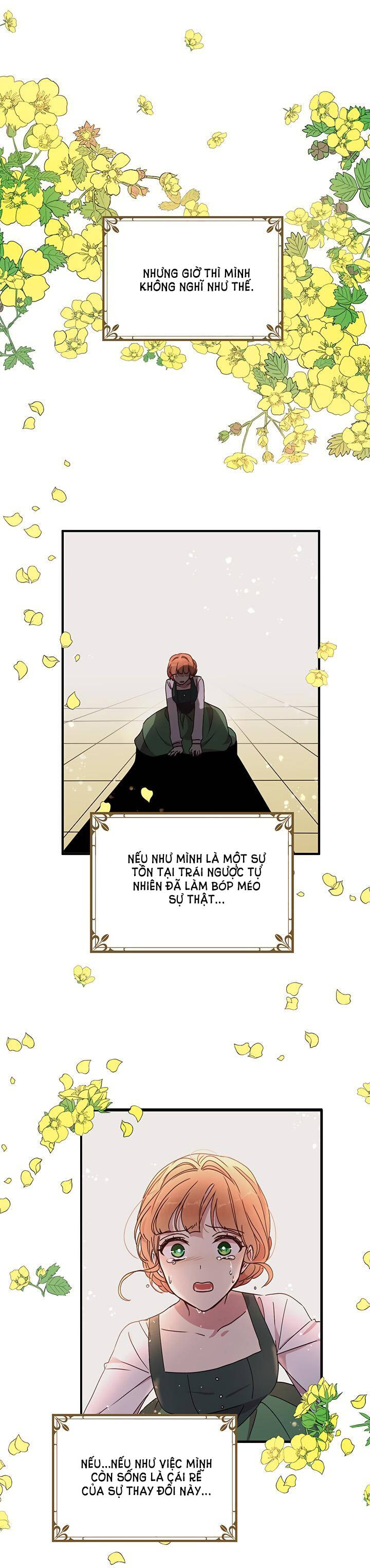 tại sao ngài làm điều này, công tước chapter 64 13